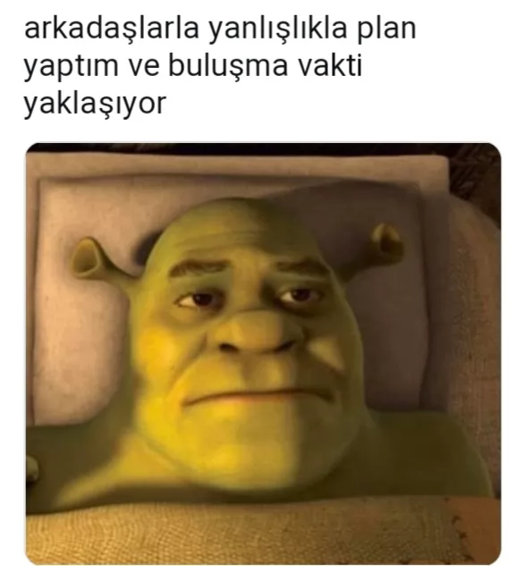 Shrek